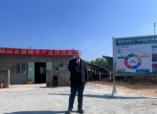 9fc6f8641ee1168c1f37fe0e2abf904f.png 揭陽農(nóng)墾舉辦魔芋產(chǎn)業(yè)推進會1.png